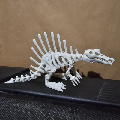 Mô Hình Bộ Xương Khủng Long Khớp Nối 4