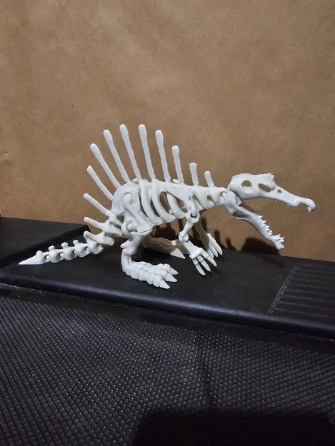 Mô Hình Bộ Xương Khủng Long Khớp Nối 4 - Image 2