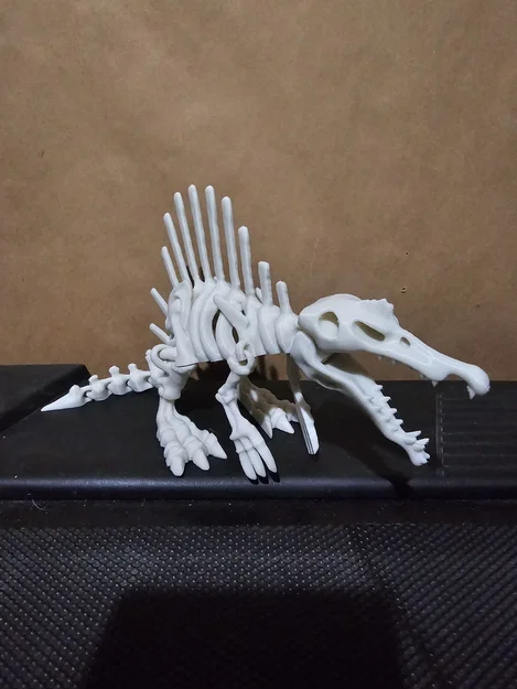 Mô Hình Bộ Xương Khủng Long Khớp Nối 4 - Image 3