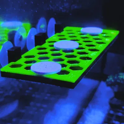 Kệ Trưng San Hô Hình Lục Giác