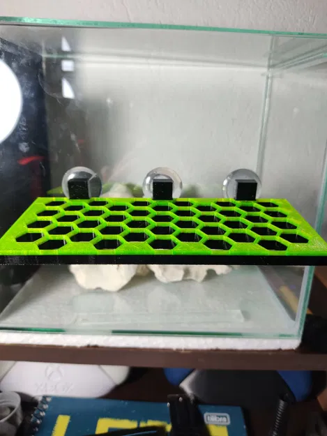 Kệ Trưng San Hô Hình Lục Giác - Image 2