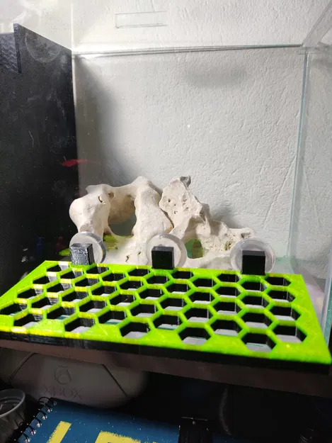 Kệ Trưng San Hô Hình Lục Giác - Image 3