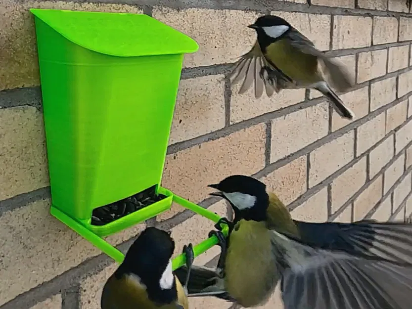 Máng Ăn Chim Gắn Tường - Image 5