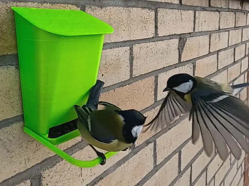 Máng Ăn Chim Gắn Tường - Image 6