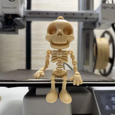Jolly Skeleton – Bộ Xương Vui Nhộn Có Khớp, Đàn Hồi, Lắc Lư, In 3D