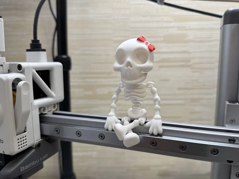 Bạn Gái Bộ Xương Vui Vẻ - Image 1