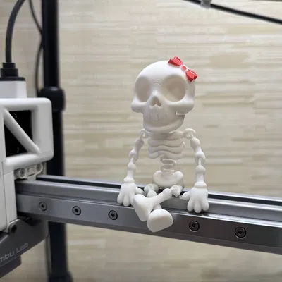 Bạn Gái Bộ Xương Vui Vẻ