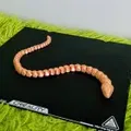 Rắn Khớp Nối Articulated Snake - Thumbnail 2