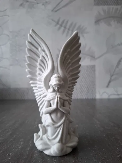 Thiên Thần Chiêm Nghiệm - Image 1