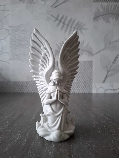 Thiên Thần Chiêm Nghiệm - Image 2