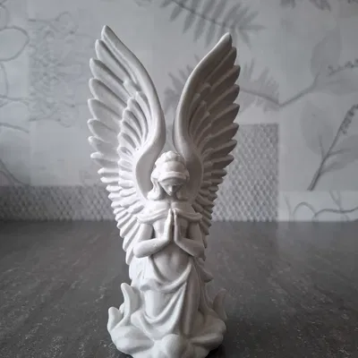 Thiên Thần Chiêm Nghiệm