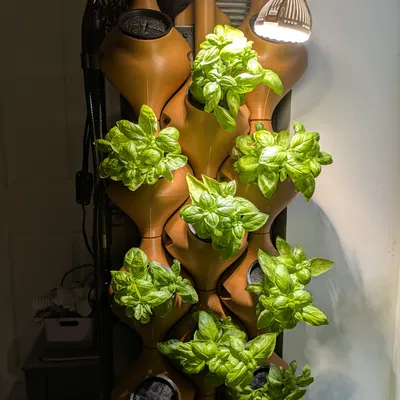 Hệ Thống Trồng Rau Thủy Canh Dọc (VHS)