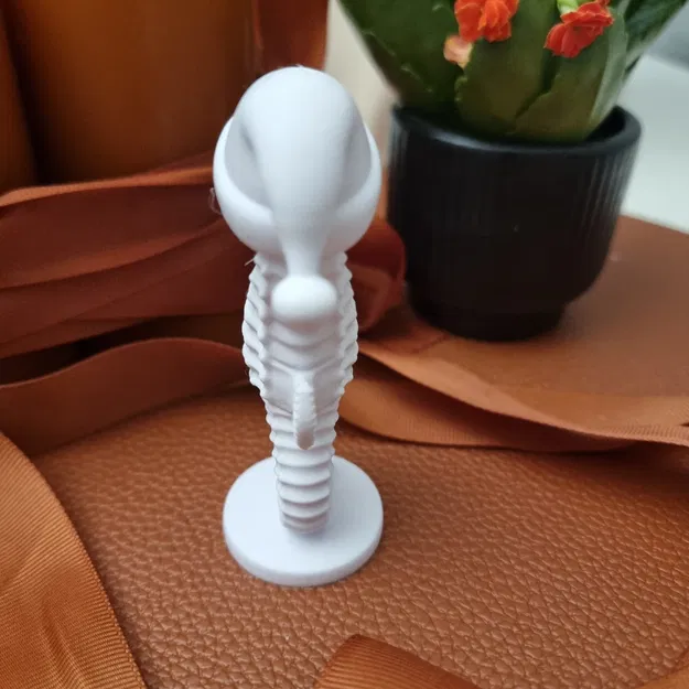 Cá Ngựa Đội Mũ Giáng Sinh - Image 2