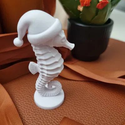 Cá Ngựa Đội Mũ Giáng Sinh