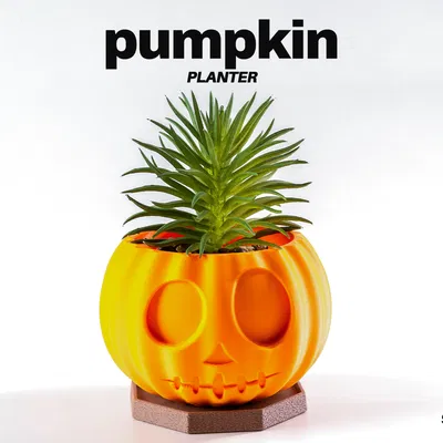 Chậu Bí Ngô ⬝ Chậu Cây