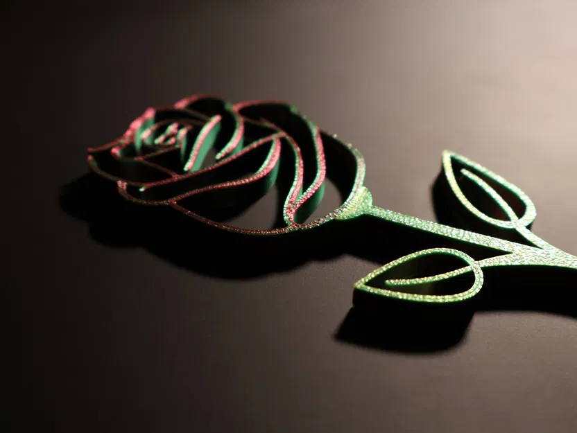 Hoa Hồng Valentine - Image 4