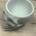 Chén/Tô Hình Đầu Lâu Bộ Xương Trang Trí Halloween - Thumbnail 3