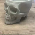 Chén/Tô Hình Đầu Lâu Bộ Xương Trang Trí Halloween - Thumbnail 4
