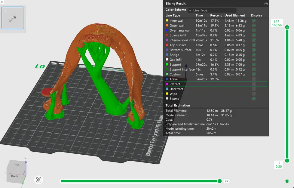 Hộp Sọ và Hàm Dưới Nữ Giới Nhìn Thấy - Image 11