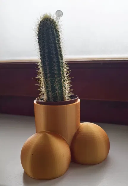 Chậu Cây Hình C** và Bi - Image 1