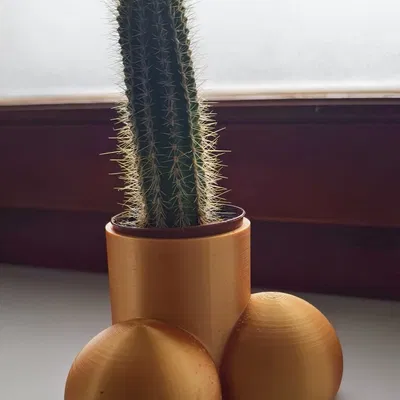 Chậu Cây Hình C** và Bi