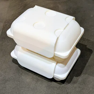 Hộp Đựng Trứng (6 quả và 4 quả) - Bản Lề - Xếp Chồng - In Liền