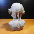 Tượng Bán Thân Golum Chúa Tể Những Chiếc Nhẫn - Thumbnail 3