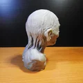 Tượng Bán Thân Golum Chúa Tể Những Chiếc Nhẫn - Thumbnail 4