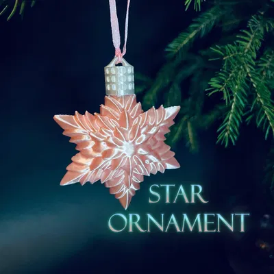 Bộ sưu tập trang trí ngôi sao cây thông Noel 2025