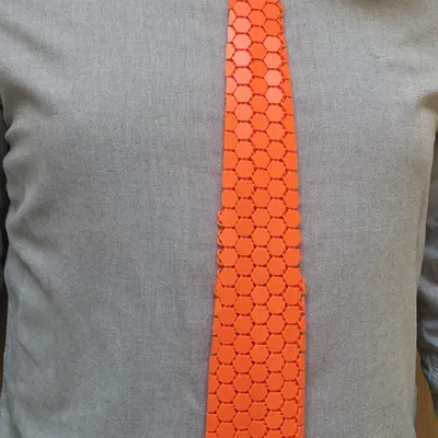 Cà vạt Lưới NASA