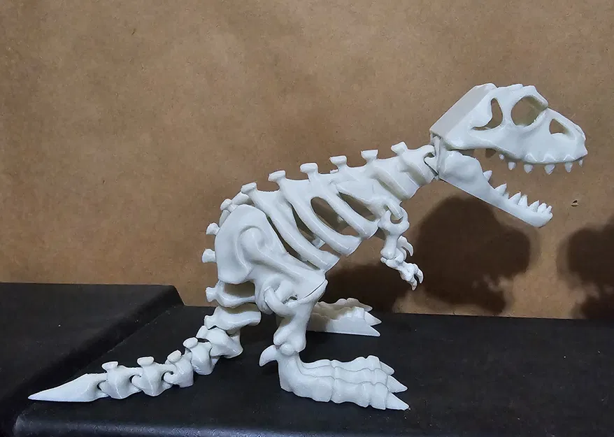 Mô hình bộ xương khủng long có khớp nối - Image 1
