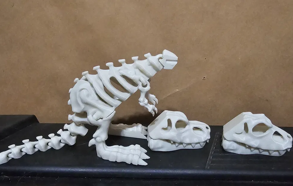 Mô hình bộ xương khủng long có khớp nối - Image 2