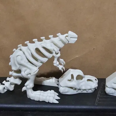 Mô hình bộ xương khủng long có khớp nối