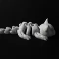 Mèo Bộ Xương Dẻo (Flexi Skeleton Cat) - Thumbnail 4