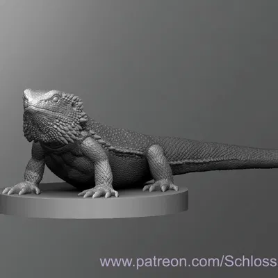 Mô Hình Rồng Râu (Bearded Dragon)