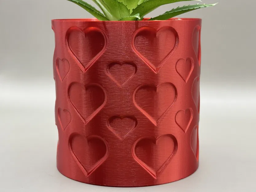 Chậu Cây Trái Tim – Chậu Hoa Chế Độ Bình - Image 1