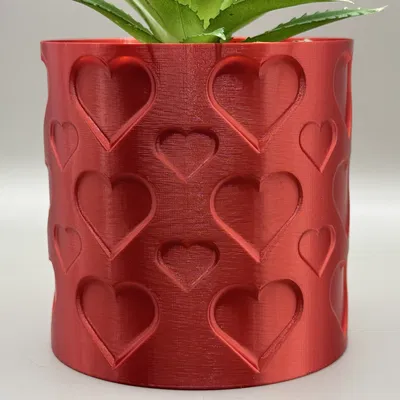 Chậu Cây Trái Tim – Chậu Hoa Chế Độ Bình