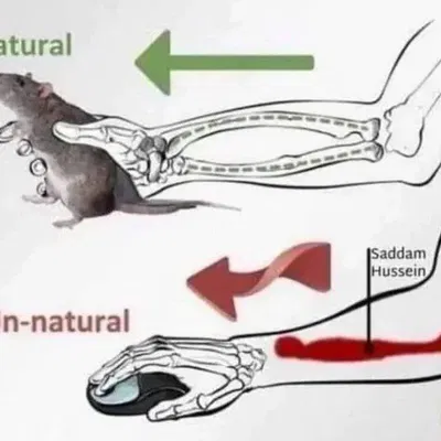Bóng Hình Saddam Hussein Đang Ẩn Nấp