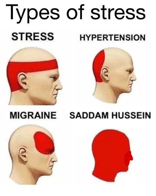 Bóng Hình Saddam Hussein Đang Ẩn Nấp - Image 12