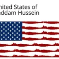 Bóng Hình Saddam Hussein Đang Ẩn Nấp - Thumbnail 17