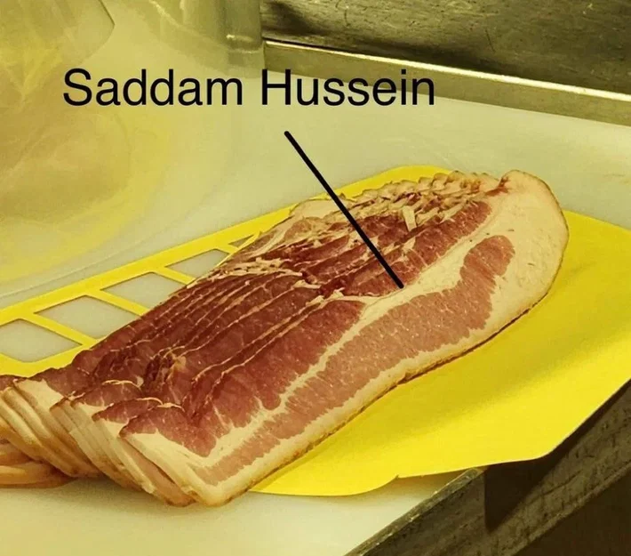 Bóng Hình Saddam Hussein Đang Ẩn Nấp - Image 45