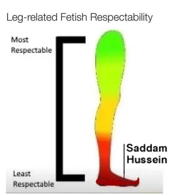 Bóng Hình Saddam Hussein Đang Ẩn Nấp - Image 50