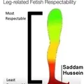 Bóng Hình Saddam Hussein Đang Ẩn Nấp - Thumbnail 50