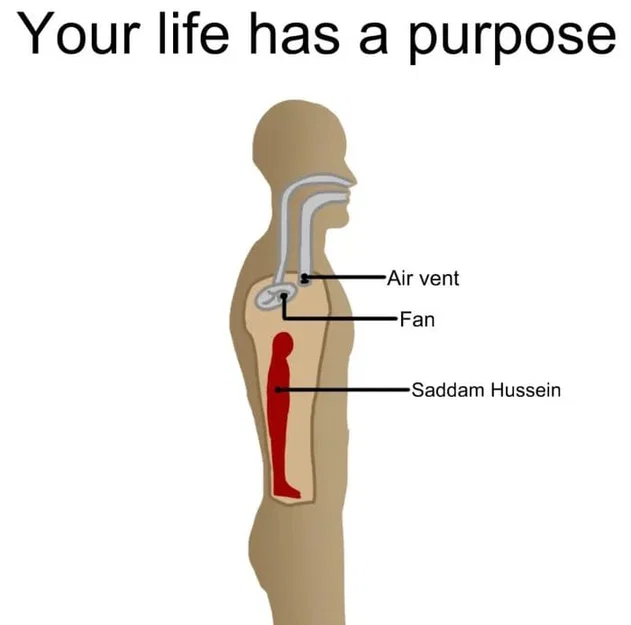 Bóng Hình Saddam Hussein Đang Ẩn Nấp - Image 75