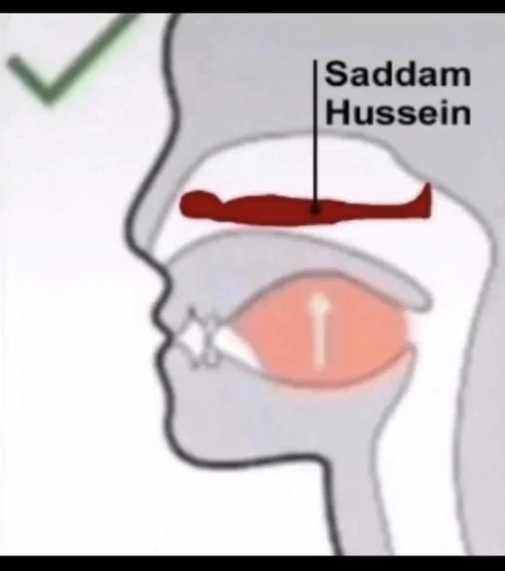 Bóng Hình Saddam Hussein Đang Ẩn Nấp - Image 89
