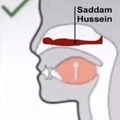 Bóng Hình Saddam Hussein Đang Ẩn Nấp - Thumbnail 89