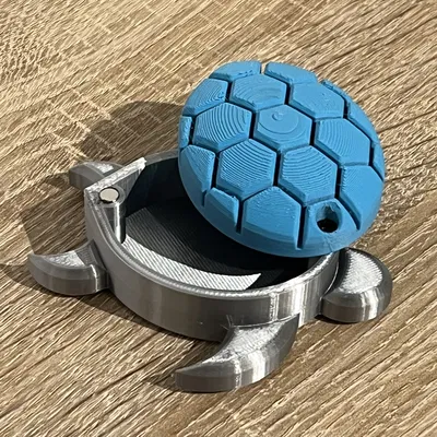 Rùa Biển Có Hộp Bí Mật