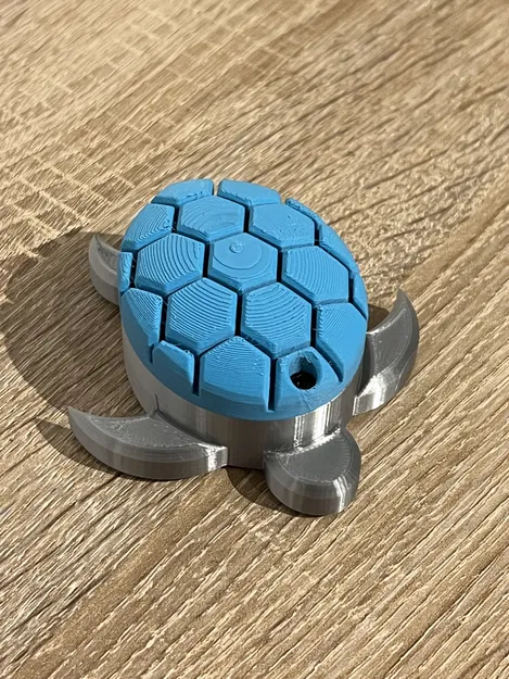 Rùa Biển Có Hộp Bí Mật - Image 2