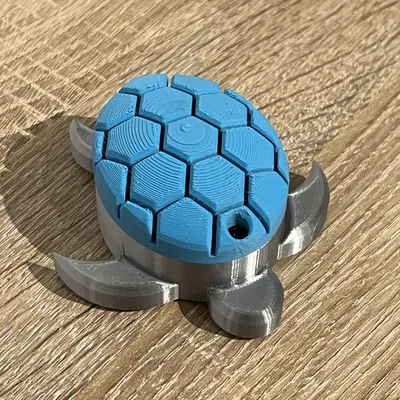 Rùa Biển Có Hộp Bí Mật