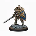 Mô hình D&D: Hiệp Sĩ Anh Hùng - Thumbnail 1